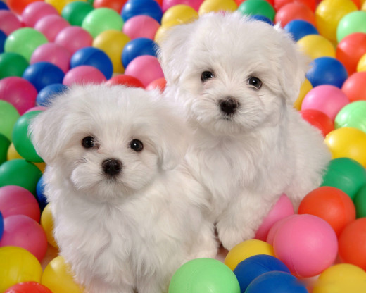 355314 (a): :1280x1024